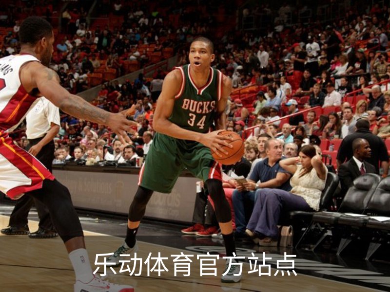 乐动体育官方站点概况